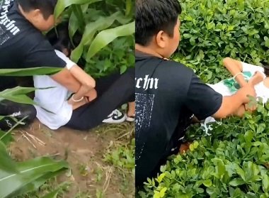 jav 2024 WAAA-412_Bị bố chồng đụ trong khi đang ngủ